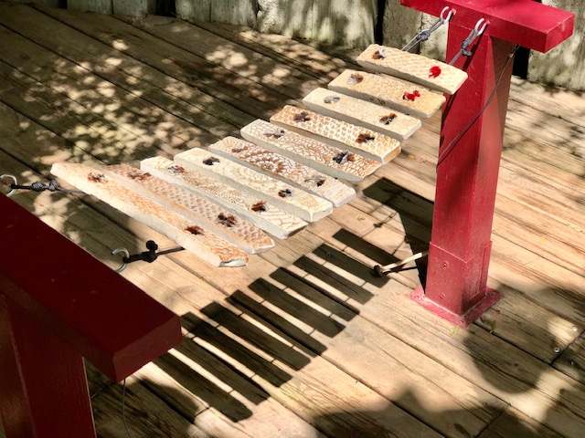 instrument de musique ludique et de plein air